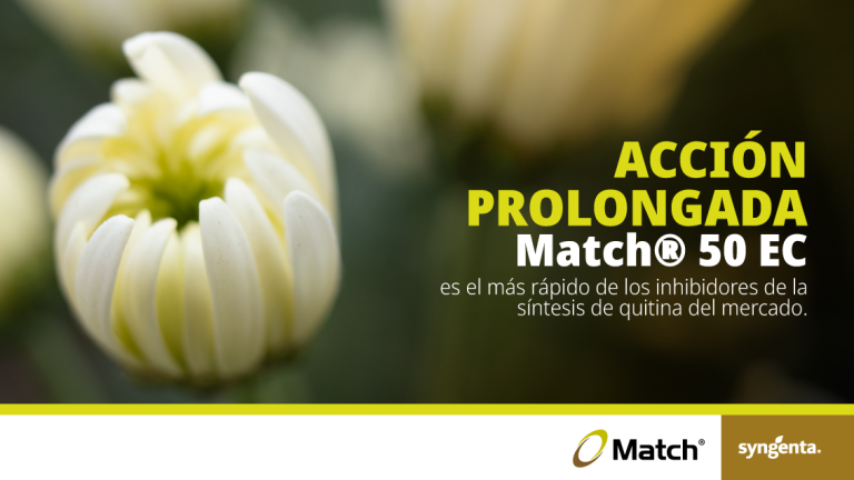Match