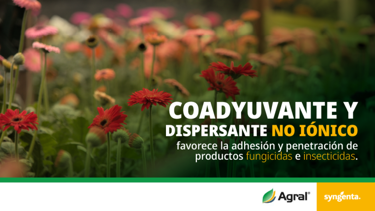 Agral